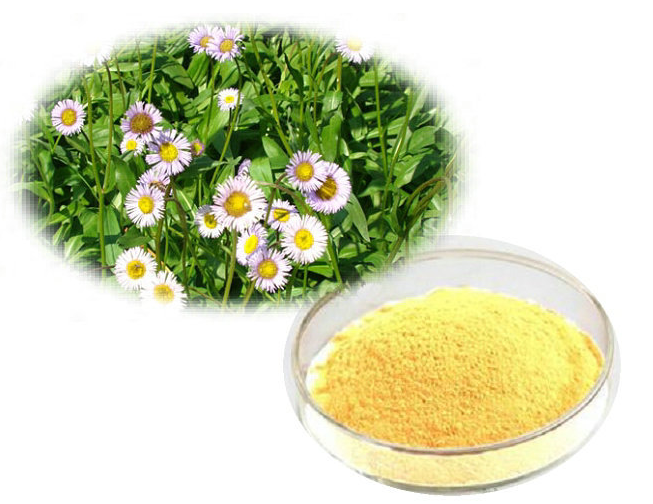 灯盏花素羟丙基β环糊精