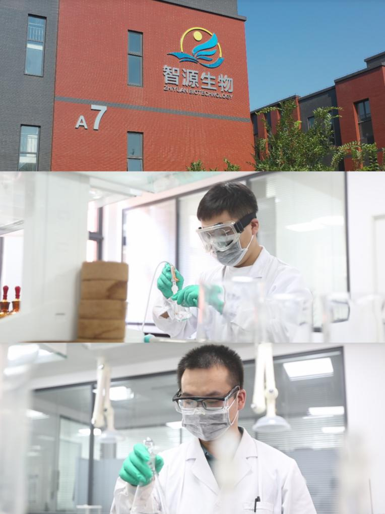 环糊精.png