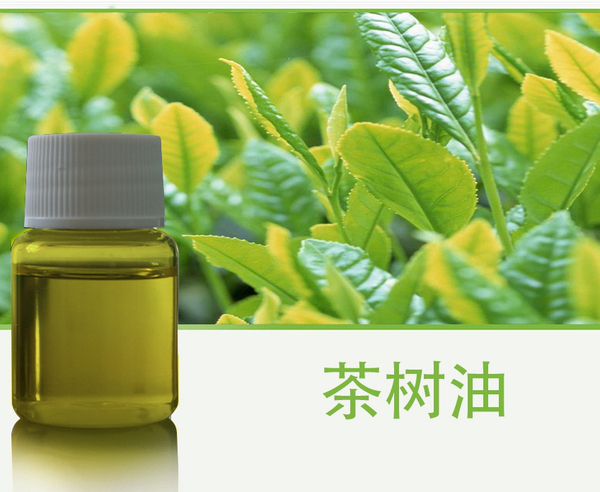 茶树油环糊精水溶性