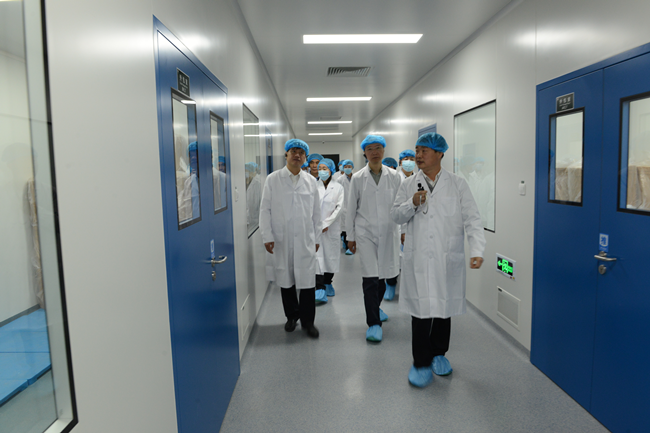 磺丁基倍他环糊精钠